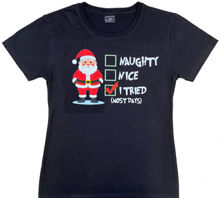 Christmas Santa I Tried - Ladies T-shirt