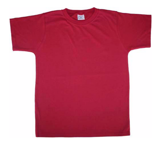 221 Adults Plain T-Shirt